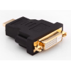 AKS ÇEVİRİCİ HDMI TO DVI SLİNK SLX-240 24+1 F