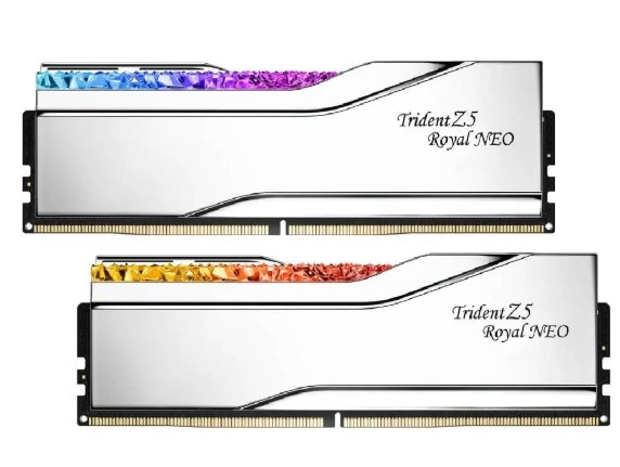 RAM PC 32GB GSKILL TZ5 ROYAL SİLVER RGB DDR5-6000MHZ CL28 32GB (2X16GB) DUAL 1.40V