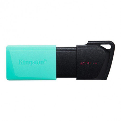 USB BELLEK 256GB USB3.2 DTXM/256GB EXODİA M KINGSTON