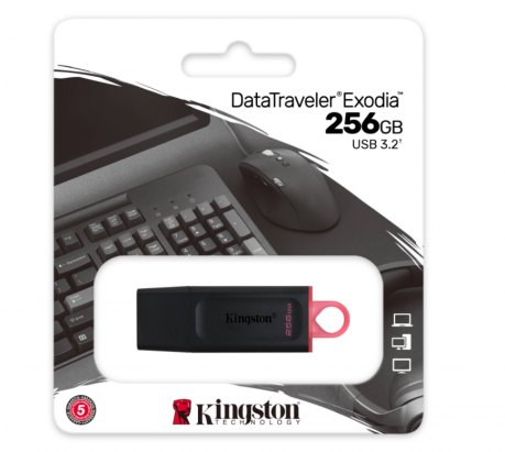 USB BELLEK 256GB USB3.2 GEN1 DTX/256GB EXODİA KINGSTON