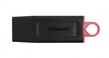 USB BELLEK 256GB USB3.2 GEN1 DTX/256GB EXODİA KINGSTON
